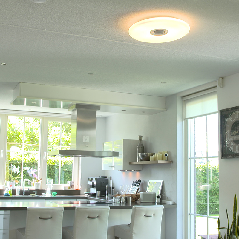 Smart plafondlamp wit incl. LED met speaker mogelijkheid - Clara