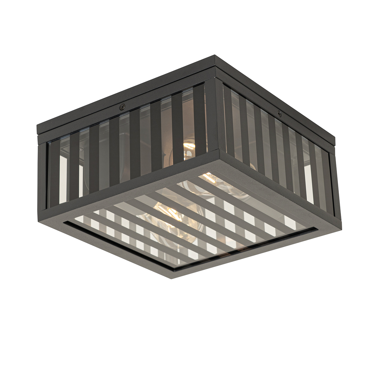 Moderne buiten plafondlamp zwart met smoke glas 2-lichts IP44 - Dijon