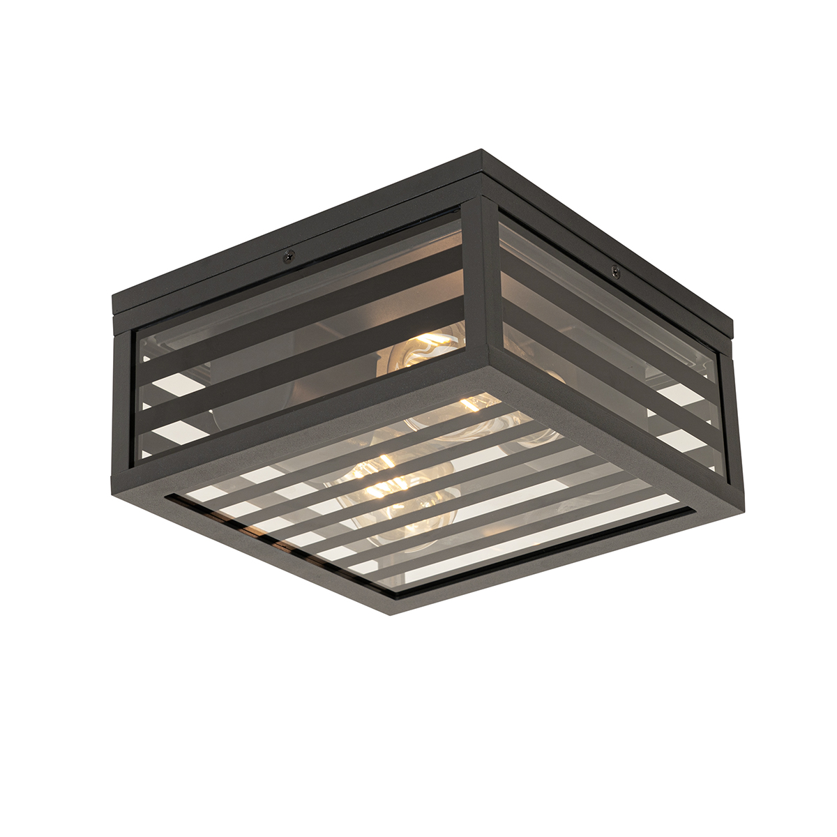 Moderne buiten plafondlamp zwart met smoke glas 2-lichts IP44 - Reims